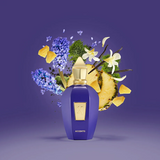 Accento Xerjoff 100ml