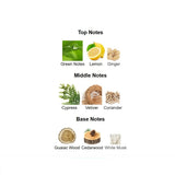 Original Vetiver 2024 Creed 100ml