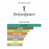 Y Eau de Parfum Intense Yves Saint Laurent 100ml