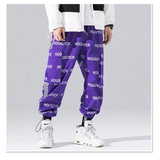 Baggy Harajuku Pants