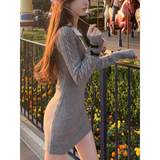 Chic Winter Dress