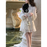 Chiffon Delight Mini Dress