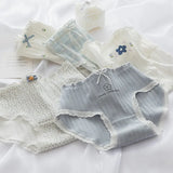 5-Pack Cotton Panties for Women - Plus Size Cute Soft Briefs Sexy Lingerie