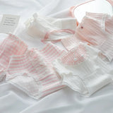 5-Pack Cotton Panties for Women - Plus Size Cute Soft Briefs Sexy Lingerie
