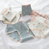 5-Pack Cotton Panties for Women - Plus Size Cute Soft Briefs Sexy Lingerie