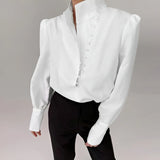 Elegant Turtleneck Blouse