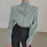 Elegant Turtleneck Blouse