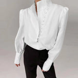 Elegant Turtleneck Blouse