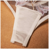 Low Waist Panties