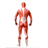Muscle Man Costumes