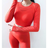 Seamless Gym Sets