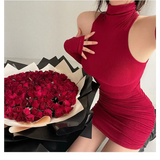 Sleeveless Mini Dress: High Neck Lace-Up